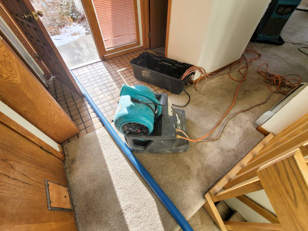 Best Sewage cleanup and water damage restoration  in Stratford, WI