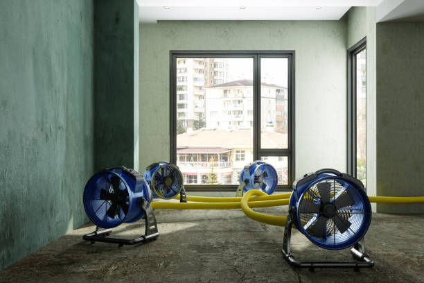 Best Water damage restoration near me  in Stratford, WI
